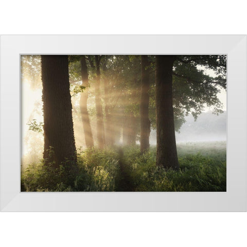 First Day Of Summer White Modern Wood Framed Art Print by Croce, Vincent