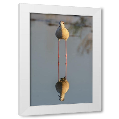 Mirror White Modern Wood Framed Art Print by Tamajo, Massimo