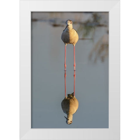 Mirror White Modern Wood Framed Art Print by Tamajo, Massimo