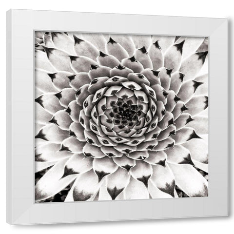 Untitled White Modern Wood Framed Art Print by Pandya, Hardik