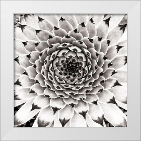 Untitled White Modern Wood Framed Art Print by Pandya, Hardik