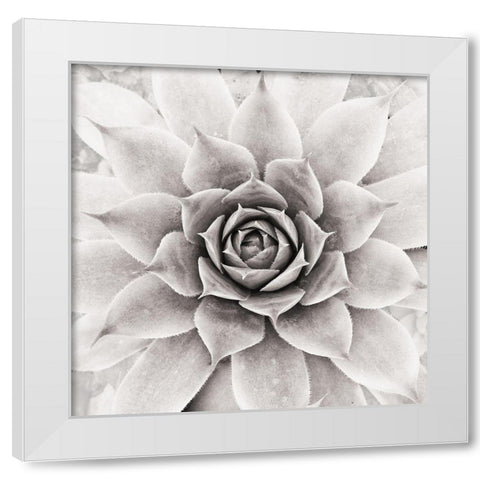 Untitled White Modern Wood Framed Art Print by Pandya, Hardik