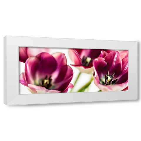 Tulips Iv White Modern Wood Framed Art Print by Bsmart