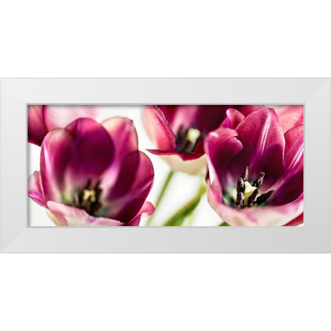 Tulips Iv White Modern Wood Framed Art Print by Bsmart