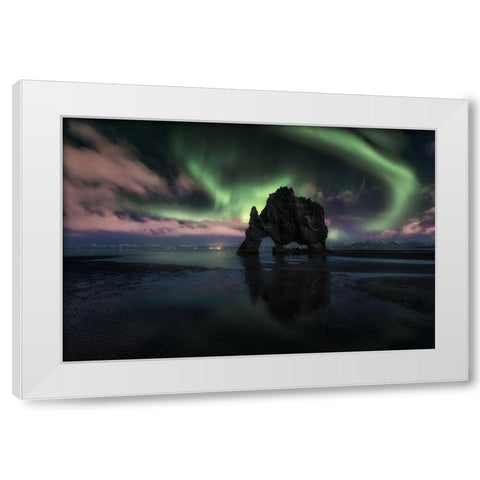 Rhino White Modern Wood Framed Art Print by Martin Castan, David