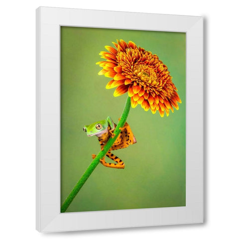 Just Hanging Around White Modern Wood Framed Art Print by Doyle, Renee