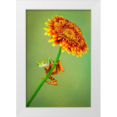 Just Hanging Around White Modern Wood Framed Art Print by Doyle, Renee