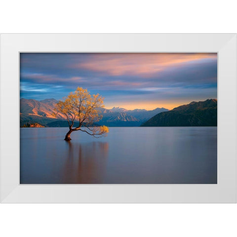 Morning Glow White Modern Wood Framed Art Print by Doyle, Renee