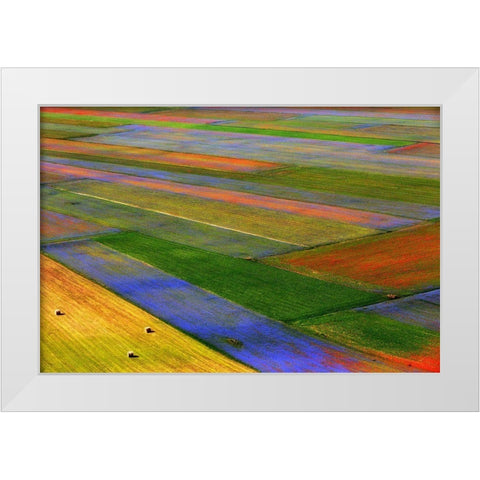 La Coperta White Modern Wood Framed Art Print by Della Latta, Massimo