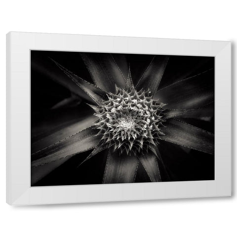 Barbed White Modern Wood Framed Art Print by Sannwald, Joerg