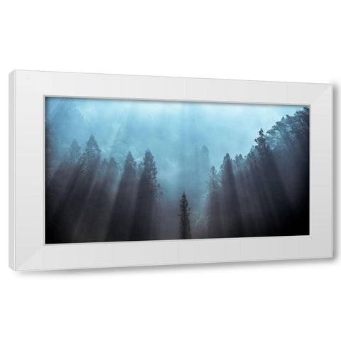 Light To Be Believed Likely White Modern Wood Framed Art Print by Fujii, Tsuneya