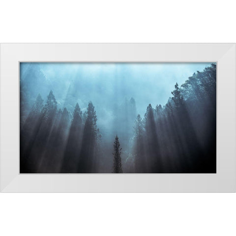 Light To Be Believed Likely White Modern Wood Framed Art Print by Fujii, Tsuneya