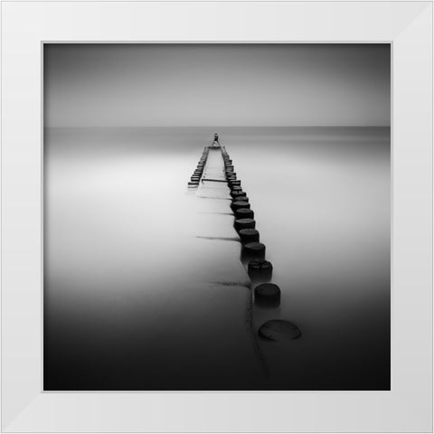 One White Modern Wood Framed Art Print by Rericha, Daniel