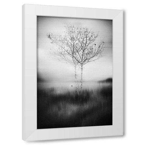That Tree White Modern Wood Framed Art Print by Perez Acevedo, Lisandro