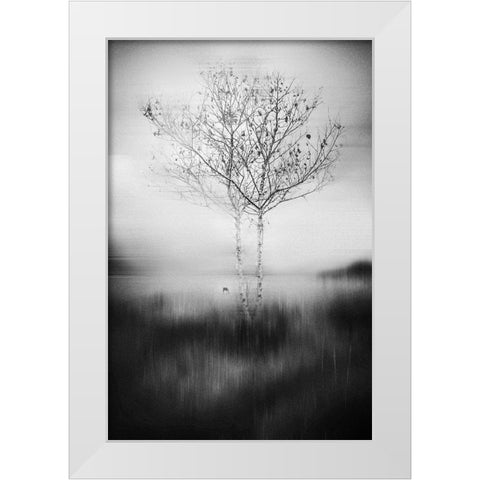 That Tree White Modern Wood Framed Art Print by Perez Acevedo, Lisandro