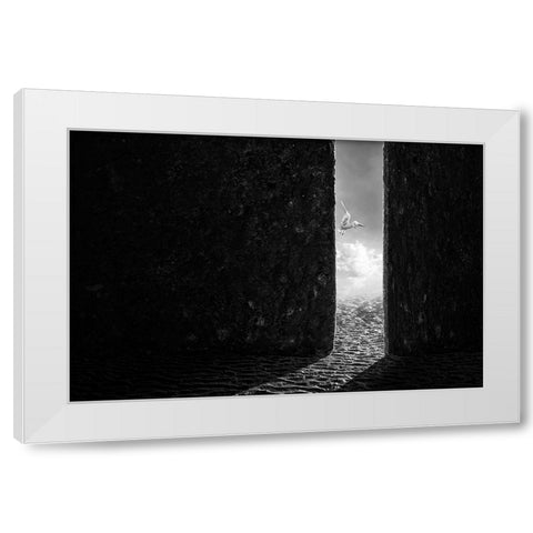 The White Bird White Modern Wood Framed Art Print by Almawash, Sulaiman