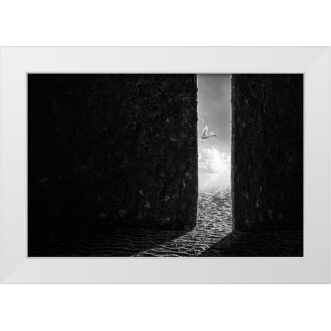 The White Bird White Modern Wood Framed Art Print by Almawash, Sulaiman