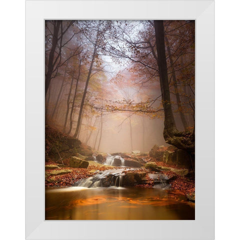Mistyc Mist White Modern Wood Framed Art Print by Menendez Covelo, Ramon
