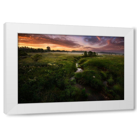 Morning On Kesma River White Modern Wood Framed Art Print by Volkov, Kirill