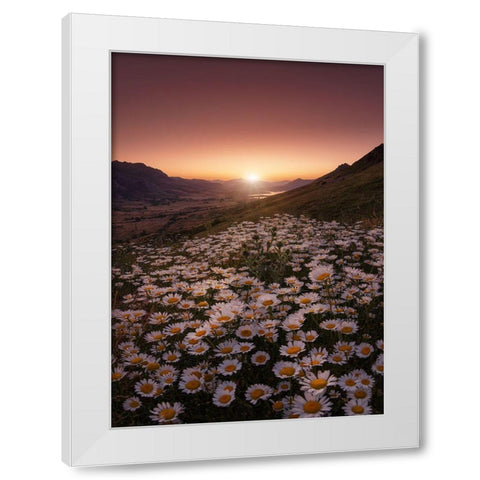 Closer To The Sun White Modern Wood Framed Art Print by Abevilla, Sergio