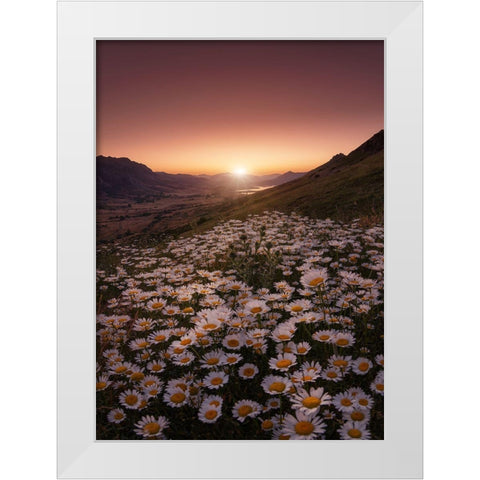 Closer To The Sun White Modern Wood Framed Art Print by Abevilla, Sergio