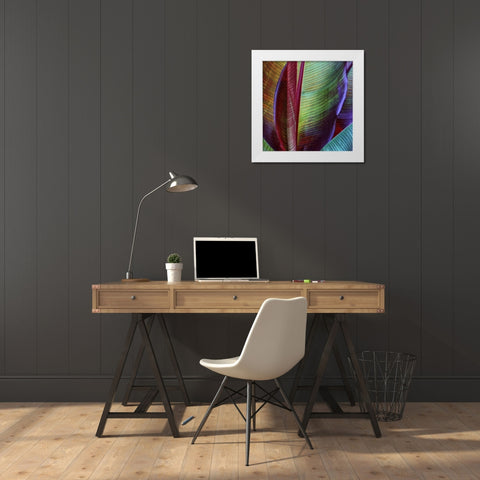 Banana Skin White Modern Wood Framed Art Print by Casanova, Francois