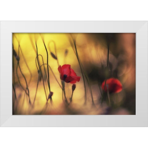 Untitled White Modern Wood Framed Art Print by Or, Keren