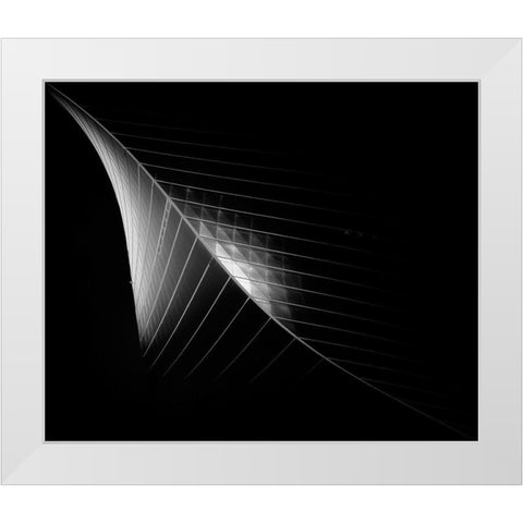 Scimitar 3 ( The Eclipse) White Modern Wood Framed Art Print by Thabet, Ahmed