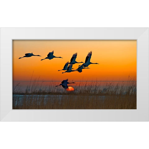 Red-Crowned Cranes White Modern Wood Framed Art Print by Zhu, Hua
