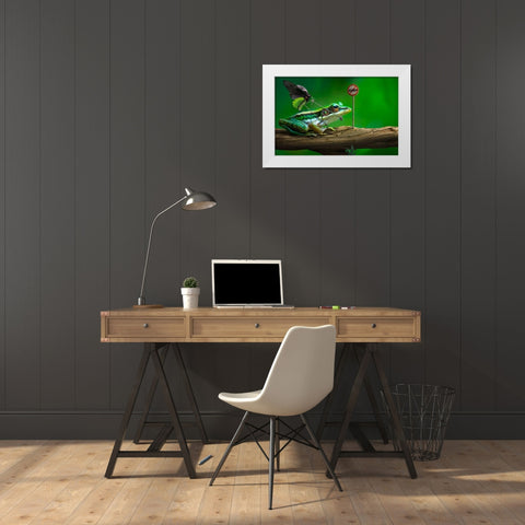No Jump White Modern Wood Framed Art Print by Almawash, Sulaiman