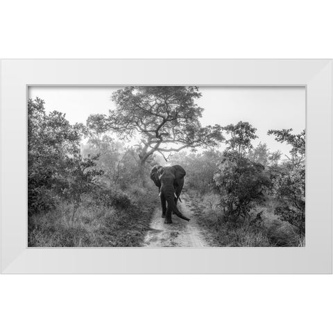 Walking Giant White Modern Wood Framed Art Print by Marx, Jaco