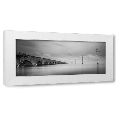 Birds Talking White Modern Wood Framed Art Print by Lionse, Art