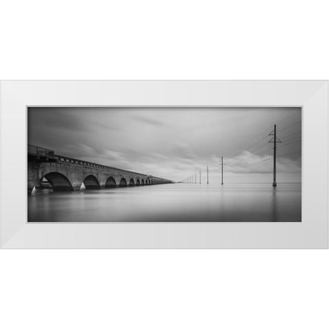 Birds Talking White Modern Wood Framed Art Print by Lionse, Art