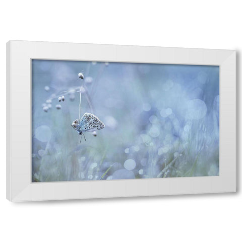 One Thread White Modern Wood Framed Art Print by Mijer, Wil