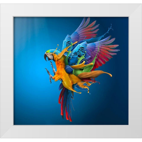 Flying Colours White Modern Wood Framed Art Print by Almawash, Sulaiman