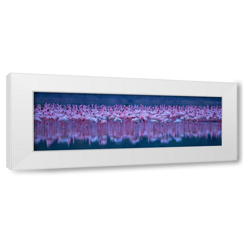 Flamingos White Modern Wood Framed Art Print by Hua, David