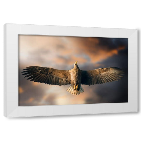 The Last Flight White Modern Wood Framed Art Print by Ghizzi Panizza, Alberto
