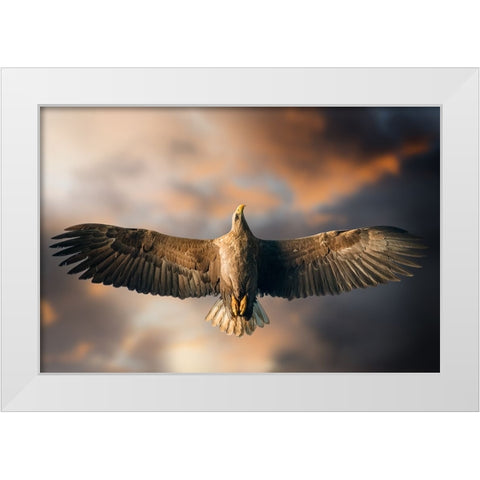 The Last Flight White Modern Wood Framed Art Print by Ghizzi Panizza, Alberto