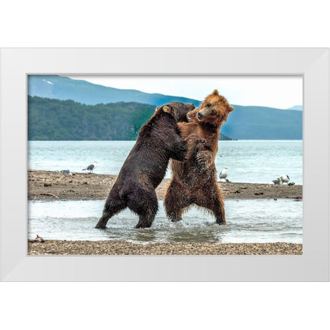 Quarrels White Modern Wood Framed Art Print by Damico, Giuseppe