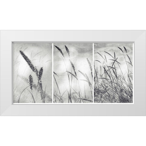 The Wilderness White Modern Wood Framed Art Print by Abrantes, Paulo