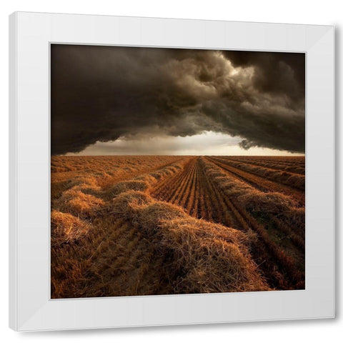 Untitled White Modern Wood Framed Art Print by Schumacher, Nicolas