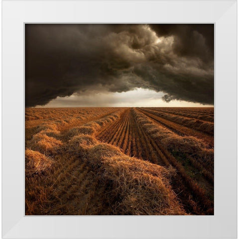 Untitled White Modern Wood Framed Art Print by Schumacher, Nicolas