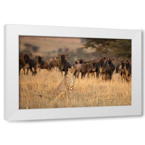 Aware White Modern Wood Framed Art Print by Doyle, Renee