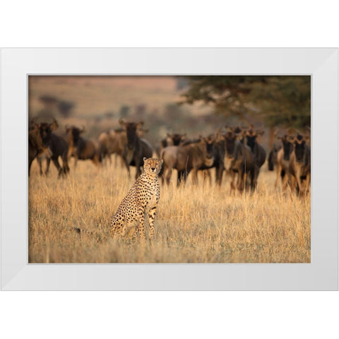 Aware White Modern Wood Framed Art Print by Doyle, Renee