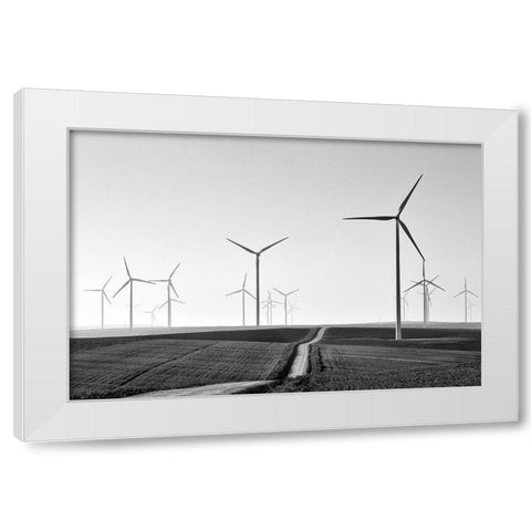 Winding White Modern Wood Framed Art Print by Avramescu, Emilian