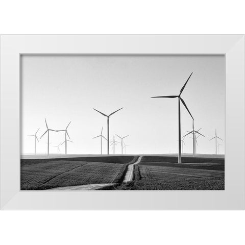 Winding White Modern Wood Framed Art Print by Avramescu, Emilian