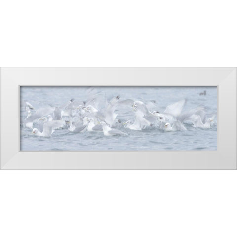 Breaking The Surface White Modern Wood Framed Art Print by Marchegiani, Roberto