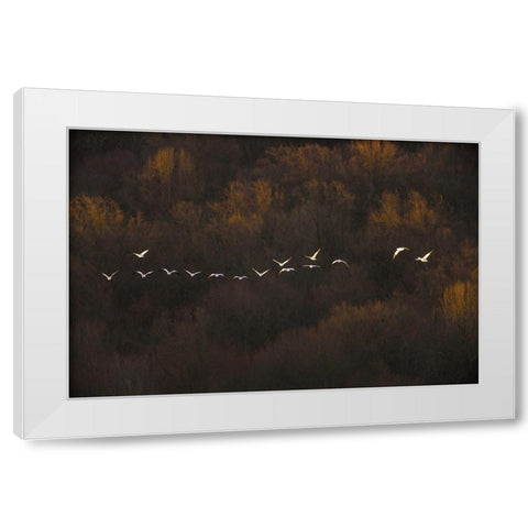 Morning Mood White Modern Wood Framed Art Print by Li, Austin