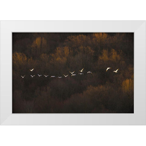 Morning Mood White Modern Wood Framed Art Print by Li, Austin