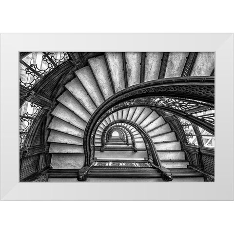 The Rookery White Modern Wood Framed Art Print by Sun, Yimei